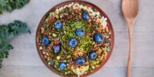 What Are the Best Feeding Supplies for Birds, Reptiles, and Small Mammals?