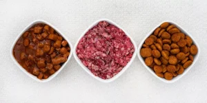 What Are the Best Pet Food Choices for Different Health Conditions?