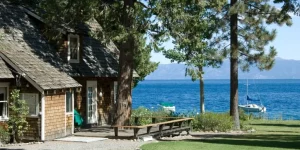 How to Design a Bird-Friendly Space at Home