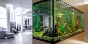 What Are the Best Breeding Supplies for Aquarists?
