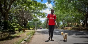 Top Products to Keep Your Pet Secure