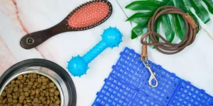Top 10 Cat Supplies Every Pet Parent Needs