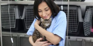 Caring for Small Animals in Different Seasons: Tips and Supplies