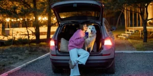 How Can You Keep Your Pet Comfortable During Outdoor Travel?