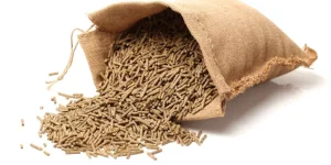 How Do You Choose the Right Horse Feed Supplements?