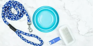 What Are the Best Smart Pet Systems for Multi-Pet Households?