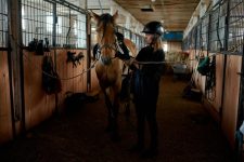 What Are the Essential Supplies for a New Horse Owner?
