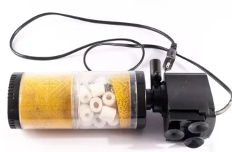 Which Aquarium Filters Are Most Suitable for Freshwater Fish?