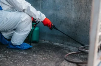 What Are the Best Smart Gadgets for Maintaining Pet Hygiene?