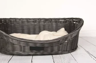How Can You Choose the Right Outdoor Bed for Your Pet?