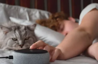 How Can Smart Pet Devices Help You Track Your Pet’s Activity?