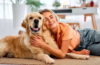 How to Support Your Aging Pet’s Health and Comfort