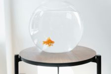 Common Aquarium Setup Mistakes to Avoid