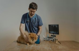 Why Is Regular Vet Checkup Important for Your Pet’s Wellbeing?