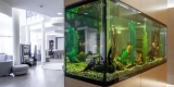 What Are the Best Breeding Supplies for Aquarists?