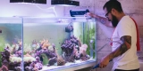 Which Cleaning Tools Make Tank Maintenance Easier?