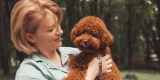 How to Manage Stress and Ensure Happiness for Your Small Animal