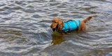 Ensuring Safety on Water Adventures
