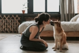 How Do You Create a Safe Play Area for Your Dog at Home?